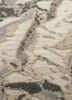 free verse by kavi beige and brown wool and silk hand knotted Rug - CloseUp