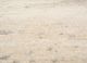 manifest gold afghan wool hand knotted Rug - CloseUp manifest gold afghan wool hand knotted Rug - CloseUp
