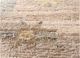 thyme beige and brown wool hand knotted Rug - CloseUp thyme beige and brown wool hand knotted Rug - CloseUp