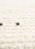 manifest ivory wool hand knotted Rug - CloseUp