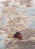entropy beige and brown wool and bamboo silk hand knotted Rug - CloseUp