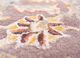 kasbah pink and purple wool and viscose hand tufted Rug - CloseUp kasbah pink and purple wool and viscose hand tufted Rug - CloseUp