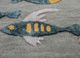 confetti blue wool and viscose hand tufted Rug - CloseUp confetti blue wool and viscose hand tufted Rug - CloseUp