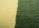 chroma green wool hand tufted Rug - CloseUp chroma green wool hand tufted Rug - CloseUp