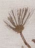 hacienda ivory wool and viscose hand tufted Rug - CloseUp hacienda ivory wool and viscose hand tufted Rug - CloseUp