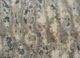pansy ivory wool and bamboo silk hand knotted Rug - CloseUp