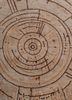 whispers of the desert red and orange wool and bamboo silk hand knotted Rug - CloseUp