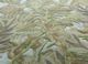aurelia blue wool and viscose hand tufted Rug - CloseUp aurelia blue wool and viscose hand tufted Rug - CloseUp
