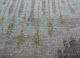 savana grey and black wool hand knotted Rug - CloseUp savana grey and black wool hand knotted Rug - CloseUp