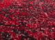 lacuna red and orange wool hand knotted Rug - CloseUp