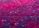 lacuna pink and purple wool hand knotted Rug - CloseUp lacuna pink and purple wool hand knotted Rug - CloseUp