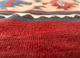 nayaab red and orange wool flat weaves Rug - CloseUp