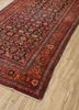 aalam red and orange wool hand knotted Rug - FoldShot aalam red and orange wool hand knotted Rug - FoldShot