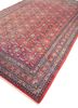 aalam red and orange wool hand knotted Rug - FoldShot