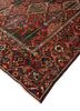 aalam red and orange wool hand knotted Rug - FoldShot