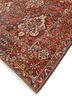 aalam ivory wool hand knotted Rug - FoldShot
