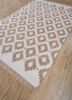 bedouin beige and brown jute and hemp flat weaves Rug - FoldShot