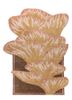 azalea gold wool and silk hand knotted Rug - HeadShot