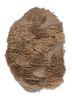 aprezo beige and brown acrylic hand knotted Rug - HeadShot