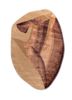 come around gold wool and viscose hand tufted Rug - HeadShot come around gold wool and viscose hand tufted Rug - HeadShot