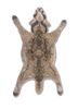 wild wanderlust beige and brown wool and viscose hand tufted Rug - HeadShot