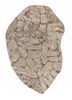 infini beige and brown wool and viscose hand tufted Rug - HeadShot infini beige and brown wool and viscose hand tufted Rug - HeadShot