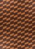 indusbar beige and brown silk flat weaves Rug - HeadShot