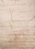 beige and brown beige and brown bamboo silk hand knotted Rug