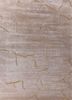 ivory ivory bamboo silk hand knotted Rug