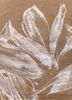 pansy beige and brown wool and bamboo silk hand knotted Rug - HeadShot pansy beige and brown wool and bamboo silk hand knotted Rug - HeadShot
