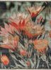 pansy ivory silk hand knotted Rug - HeadShot pansy ivory silk hand knotted Rug - HeadShot