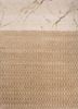aakar by kavi ivory wool and bamboo silk hand knotted Rug - HeadShot aakar by kavi ivory wool and bamboo silk hand knotted Rug - HeadShot