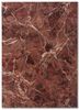 urban pause by kavi red and orange wool and bamboo silk hand knotted Rug - HeadShot urban pause by kavi red and orange wool and bamboo silk hand knotted Rug - HeadShot