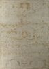 erbe ivory wool hand knotted Rug - HeadShot erbe ivory wool hand knotted Rug - HeadShot