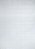 basis ivory wool and viscose hand loom Rug - HeadShot