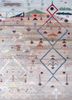 freedom manchaha beige and brown wool and silk hand knotted Rug - HeadShot freedom manchaha beige and brown wool and silk hand knotted Rug - HeadShot