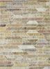 provenance beige and brown wool hand knotted Rug - HeadShot