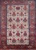 aalam red and orange wool hand knotted Rug - HeadShot aalam red and orange wool hand knotted Rug - HeadShot