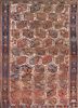 nuray ivory wool hand knotted Rug - HeadShot nuray ivory wool hand knotted Rug - HeadShot