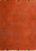 nayaab red and orange wool flat weaves Rug - HeadShot