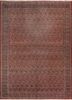 aalam red and orange wool hand knotted Rug - HeadShot aalam red and orange wool hand knotted Rug - HeadShot