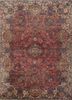 aalam red and orange wool hand knotted Rug - HeadShot
