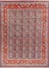 aalam red and orange wool hand knotted Rug - HeadShot aalam red and orange wool hand knotted Rug - HeadShot