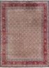 aalam ivory wool hand knotted Rug - HeadShot