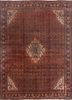 aalam red and orange wool hand knotted Rug - HeadShot aalam red and orange wool hand knotted Rug - HeadShot