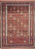 kiaan red and orange wool hand knotted Rug - HeadShot