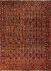 aalam red and orange wool hand knotted Rug - HeadShot aalam red and orange wool hand knotted Rug - HeadShot