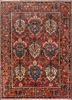 aalam red and orange wool hand knotted Rug - HeadShot aalam red and orange wool hand knotted Rug - HeadShot