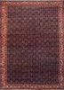 aalam blue wool hand knotted Rug - HeadShot aalam blue wool hand knotted Rug - HeadShot