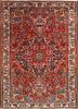 aalam red and orange wool hand knotted Rug - HeadShot aalam red and orange wool hand knotted Rug - HeadShot